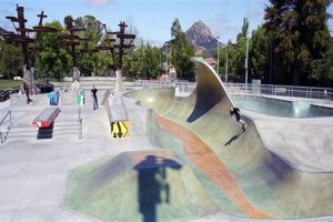 San Luis Obispo Skate Park Guide: Ride SLO! Safem Fabrication - Precision Engineering & Custom Manufacturing Solutions San Luis Obispo Skate Park Guide: Ride SLO! | Safem Fabrication - Precision Engineering & Custom Manufacturing Solutions