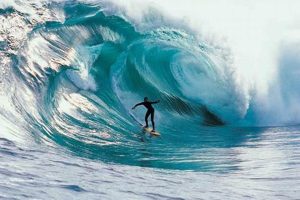 Ride the Tide: Surfer on Waves - Tips & Techniques Safem Fabrication - Precision Engineering & Custom Manufacturing Solutions Ride the Tide: Surfer on Waves - Tips & Techniques | Safem Fabrication - Precision Engineering & Custom Manufacturing Solutions