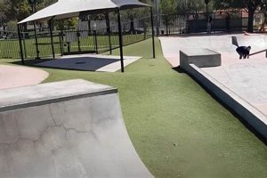 Your Guide to Skate Parks in Costa Mesa, CA | Best Spots! Safem Fabrication - Precision Engineering & Custom Manufacturing Solutions Your Guide to Skate Parks in Costa Mesa, CA | Best Spots! | Safem Fabrication - Precision Engineering & Custom Manufacturing Solutions