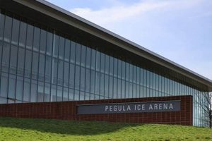 Enjoy Pegula Ice Arena Public Skate: Schedule & Fun! Safem Fabrication - Precision Engineering & Custom Manufacturing Solutions Enjoy Pegula Ice Arena Public Skate: Schedule & Fun! | Safem Fabrication - Precision Engineering & Custom Manufacturing Solutions