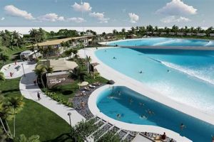 Surf's Up! Best Hotels Near Surf Sports Park [Deals] | Learn to Surf & Skate: A Beginner's Step-by-Step Guide