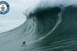 Record Breakers: What's The Biggest Wave Ever Surfed? [Updated] | Learn to Surf & Skate: A Beginner's Step-by-Step Guide
