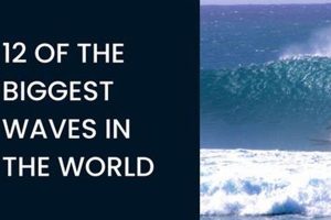 The Biggest Surf Wave in the World: Size, Location, and How Safem Fabrication - Precision Engineering & Custom Manufacturing Solutions The Biggest Surf Wave in the World: Size, Location, and How | Safem Fabrication - Precision Engineering & Custom Manufacturing Solutions