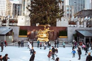 Rockefeller Ice Skating: How Much Does it Cost? (2024) Safem Fabrication - Precision Engineering & Custom Manufacturing Solutions Rockefeller Ice Skating: How Much Does it Cost? (2024) | Safem Fabrication - Precision Engineering & Custom Manufacturing Solutions