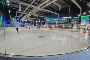 The Ice Skate Pavilion: Your Winter Fun Spot! Safem Fabrication - Precision Engineering & Custom Manufacturing Solutions The Ice Skate Pavilion: Your Winter Fun Spot! | Safem Fabrication - Precision Engineering & Custom Manufacturing Solutions