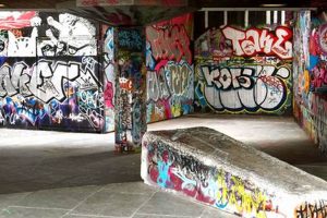 Curb Vandalism: Graffiti on Skate Parks Art & Issues Safem Fabrication - Precision Engineering & Custom Manufacturing Solutions Curb Vandalism: Graffiti on Skate Parks Art & Issues | Safem Fabrication - Precision Engineering & Custom Manufacturing Solutions