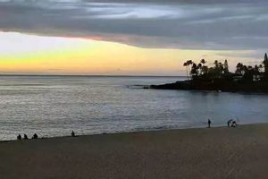 Waikiki Surf Report: Latest Conditions & Forecast Safem Fabrication - Precision Engineering & Custom Manufacturing Solutions Waikiki Surf Report: Latest Conditions & Forecast | Safem Fabrication - Precision Engineering & Custom Manufacturing Solutions