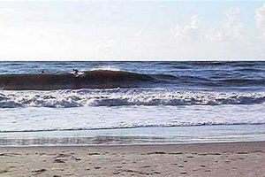 Tybee Island Surf Report: Waves Now & Tomorrow Safem Fabrication - Precision Engineering & Custom Manufacturing Solutions Tybee Island Surf Report: Waves Now & Tomorrow | Safem Fabrication - Precision Engineering & Custom Manufacturing Solutions