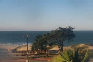 Your Ventura Harbor Surf Report: [Conditions & Forecast] | Learn to Surf & Skate: A Beginner's Step-by-Step Guide