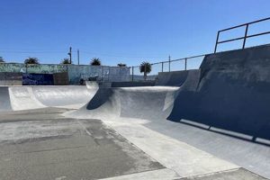 Visit Treasure Island Skate Park: A Skater's Paradise! Safem Fabrication - Precision Engineering & Custom Manufacturing Solutions Visit Treasure Island Skate Park: A Skater's Paradise! | Safem Fabrication - Precision Engineering & Custom Manufacturing Solutions