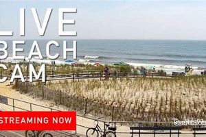 Watch Ocean City NJ Surf Cam Live: [Your Suffix Here] | Learn to Surf & Skate: A Beginner's Step-by-Step Guide