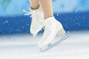 Best Ice Figure Skates: Reviews & Buying Guide Safem Fabrication - Precision Engineering & Custom Manufacturing Solutions Best Ice Figure Skates: Reviews & Buying Guide | Safem Fabrication - Precision Engineering & Custom Manufacturing Solutions