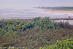 Live Surf Cam: Sebastian Inlet - Watch the Waves! Safem Fabrication - Precision Engineering & Custom Manufacturing Solutions Live Surf Cam: Sebastian Inlet - Watch the Waves! | Safem Fabrication - Precision Engineering & Custom Manufacturing Solutions