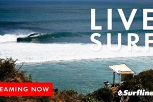 Live Moment Surf Cam: See Surf Now! Safem Fabrication - Precision Engineering & Custom Manufacturing Solutions Live Moment Surf Cam: See Surf Now! | Safem Fabrication - Precision Engineering & Custom Manufacturing Solutions