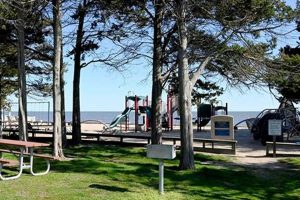 Your Guide to Madison Surf Club in Madison CT | Fun & More! Safem Fabrication - Precision Engineering & Custom Manufacturing Solutions Your Guide to Madison Surf Club in Madison CT | Fun & More! | Safem Fabrication - Precision Engineering & Custom Manufacturing Solutions