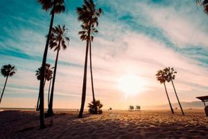 Your Venice Beach Surfing Adventure | Surf Beach Safem Fabrication - Precision Engineering & Custom Manufacturing Solutions Your Venice Beach Surfing Adventure | Surf Beach | Safem Fabrication - Precision Engineering & Custom Manufacturing Solutions