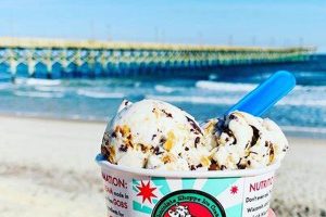 Best Ice Cream in Surf City, NC: Cool Treats & More Safem Fabrication - Precision Engineering & Custom Manufacturing Solutions Best Ice Cream in Surf City, NC: Cool Treats & More | Safem Fabrication - Precision Engineering & Custom Manufacturing Solutions