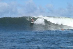 Your Guide: Puaena Point Surf Report & Conditions Now Learn to Surf & Skate: A Beginner's Step-by-Step Guide Your Guide: Puaena Point Surf Report & Conditions Now | Learn to Surf & Skate: A Beginner's Step-by-Step Guide
