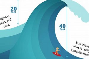 What Makes Surf Height? Wave Size Explained! Safem Fabrication - Precision Engineering & Custom Manufacturing Solutions What Makes Surf Height? Wave Size Explained! | Safem Fabrication - Precision Engineering & Custom Manufacturing Solutions