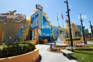 Your Ron Jon Surf Shop Daytona Beach Guide + Tips! Safem Fabrication - Precision Engineering & Custom Manufacturing Solutions Your Ron Jon Surf Shop Daytona Beach Guide + Tips! | Safem Fabrication - Precision Engineering & Custom Manufacturing Solutions