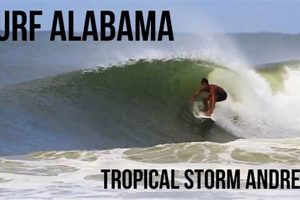 Your Orange Beach Surf Report: [Today's Conditions] | Learn to Surf & Skate: A Beginner's Step-by-Step Guide