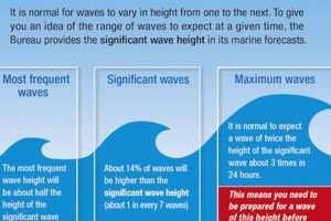 Beginners' Guide: How to Read a Surf Report Like a Pro Learn to Surf & Skate: A Beginner's Step-by-Step Guide Beginners' Guide: How to Read a Surf Report Like a Pro | Learn to Surf & Skate: A Beginner's Step-by-Step Guide