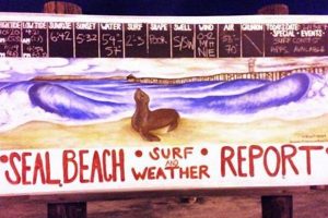 Your Seal Beach Surf Report: CA Waves & Conditions Now Safem Fabrication - Precision Engineering & Custom Manufacturing Solutions Your Seal Beach Surf Report: CA Waves & Conditions Now | Safem Fabrication - Precision Engineering & Custom Manufacturing Solutions