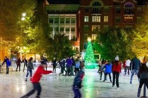 Glide in Style: Rockville Ice Skate Fun & Gear Safem Fabrication - Precision Engineering & Custom Manufacturing Solutions Glide in Style: Rockville Ice Skate Fun & Gear | Safem Fabrication - Precision Engineering & Custom Manufacturing Solutions