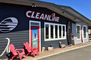 Your Cleanline Surf Shop | Gear &amp; More - [Location]! | Learn to Surf & Skate: A Beginner's Step-by-Step Guide