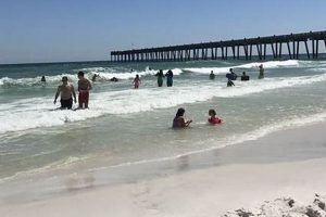 Best Surf Report Pensacola: [Conditions & Forecast] | Learn to Surf & Skate: A Beginner's Step-by-Step Guide