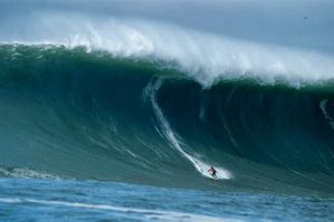 Your Mavericks Surf Report: Half Moon Bay Conditions Today Learn to Surf & Skate: A Beginner's Step-by-Step Guide Your Mavericks Surf Report: Half Moon Bay Conditions Today | Learn to Surf & Skate: A Beginner's Step-by-Step Guide