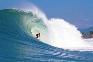 Epic Surfing Big Waves California: Conquering Giants! Safem Fabrication - Precision Engineering & Custom Manufacturing Solutions Epic Surfing Big Waves California: Conquering Giants! | Safem Fabrication - Precision Engineering & Custom Manufacturing Solutions