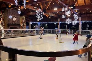 Your Guide to Ice Skate Charleston Fun & More! Safem Fabrication - Precision Engineering & Custom Manufacturing Solutions Your Guide to Ice Skate Charleston Fun & More! | Safem Fabrication - Precision Engineering & Custom Manufacturing Solutions