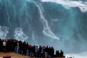 Riding the Biggest Surfing Wave: Extreme Dimensions Safem Fabrication - Precision Engineering & Custom Manufacturing Solutions Riding the Biggest Surfing Wave: Extreme Dimensions | Safem Fabrication - Precision Engineering & Custom Manufacturing Solutions