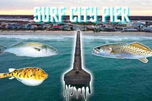 Surf City NC Fishing Report: Tips & Hot Spots (Today) Safem Fabrication - Precision Engineering & Custom Manufacturing Solutions Surf City NC Fishing Report: Tips & Hot Spots (Today) | Safem Fabrication - Precision Engineering & Custom Manufacturing Solutions