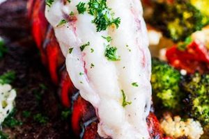 Best Lobster Surf & Turf: At Home Recipe & Guide Safem Fabrication - Precision Engineering & Custom Manufacturing Solutions Best Lobster Surf & Turf: At Home Recipe & Guide | Safem Fabrication - Precision Engineering & Custom Manufacturing Solutions