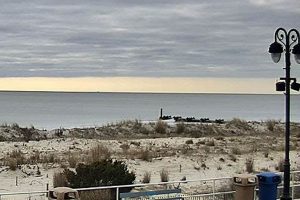 Watch Live: 7th Street Surf Cam - [Location] Surf Report | Learn to Surf & Skate: A Beginner's Step-by-Step Guide