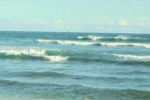 Your Guide: White Plains Beach Surf Report & Conditions Safem Fabrication - Precision Engineering & Custom Manufacturing Solutions Your Guide: White Plains Beach Surf Report & Conditions | Safem Fabrication - Precision Engineering & Custom Manufacturing Solutions
