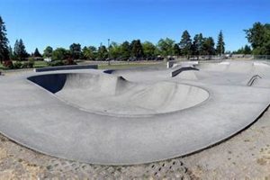 Your Guide: Everett WA Skate Parks & Beyond! Safem Fabrication - Precision Engineering & Custom Manufacturing Solutions Your Guide: Everett WA Skate Parks & Beyond! | Safem Fabrication - Precision Engineering & Custom Manufacturing Solutions