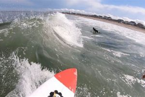 Hampton Beach Surf Cam NH: Live Beach & Wave Conditions Safem Fabrication - Precision Engineering & Custom Manufacturing Solutions Hampton Beach Surf Cam NH: Live Beach & Wave Conditions | Safem Fabrication - Precision Engineering & Custom Manufacturing Solutions