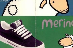 Best Sheep Skate Shoes: Grip & Durability Safem Fabrication - Precision Engineering & Custom Manufacturing Solutions Best Sheep Skate Shoes: Grip & Durability | Safem Fabrication - Precision Engineering & Custom Manufacturing Solutions