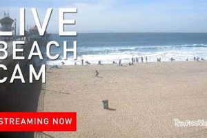 Huntington Beach Surf Cam: See CA Waves Live! Safem Fabrication - Precision Engineering & Custom Manufacturing Solutions Huntington Beach Surf Cam: See CA Waves Live! | Safem Fabrication - Precision Engineering & Custom Manufacturing Solutions