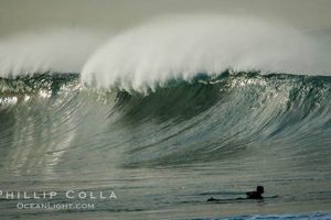 Your Salt Creek Surf Report: Today's Waves + Forecast Safem Fabrication - Precision Engineering & Custom Manufacturing Solutions Your Salt Creek Surf Report: Today's Waves + Forecast | Safem Fabrication - Precision Engineering & Custom Manufacturing Solutions