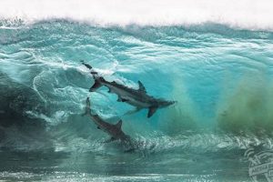 Shark Surfer Wave: Epic Rides & Safety Tips Safem Fabrication - Precision Engineering & Custom Manufacturing Solutions Shark Surfer Wave: Epic Rides & Safety Tips | Safem Fabrication - Precision Engineering & Custom Manufacturing Solutions