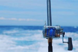 Live Seagull Surf Cam Views: See Surf Conditions Now! Safem Fabrication - Precision Engineering & Custom Manufacturing Solutions Live Seagull Surf Cam Views: See Surf Conditions Now! | Safem Fabrication - Precision Engineering & Custom Manufacturing Solutions