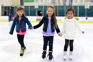 Find Your Best Open Skate Ice Den Near You! Safem Fabrication - Precision Engineering & Custom Manufacturing Solutions Find Your Best Open Skate Ice Den Near You! | Safem Fabrication - Precision Engineering & Custom Manufacturing Solutions