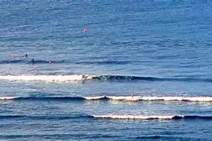Ala Moana Surf Cam: See Hawaii's Waves LIVE + Forecast Safem Fabrication - Precision Engineering & Custom Manufacturing Solutions Ala Moana Surf Cam: See Hawaii's Waves LIVE + Forecast | Safem Fabrication - Precision Engineering & Custom Manufacturing Solutions