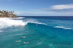 Your China Walls Surf Report: [Updated] Conditions &amp; Forecast | Learn to Surf & Skate: A Beginner's Step-by-Step Guide