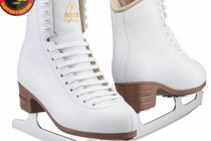Become a Jackson Ice Skates Artiste Today! Safem Fabrication - Precision Engineering & Custom Manufacturing Solutions Become a Jackson Ice Skates Artiste Today! | Safem Fabrication - Precision Engineering & Custom Manufacturing Solutions
