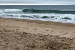 Your Daily Surf Report: Misquamicut Beach Conditions Now Safem Fabrication - Precision Engineering & Custom Manufacturing Solutions Your Daily Surf Report: Misquamicut Beach Conditions Now | Safem Fabrication - Precision Engineering & Custom Manufacturing Solutions